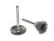 Set de accesorii pentru șlefuire și lustruire FORSAGE F-GSK071, 71 piese